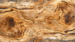 Wood texture from old olive tree