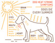 © Double Brain - Dog heat stroke symptoms. Medical infographic. Landscape veterinarian poster.