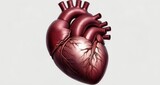 Fototapeta  -  Vibrant 3D rendering of a human heart