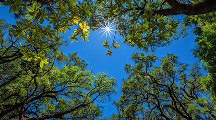 Poster - Steel forest: metal trees sparkling in the sun, like the guards of unknown secr