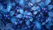 background of Blueberry. Concept Fruit, Nutrition, Antioxidants, Superfood