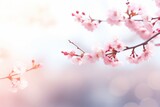 Fototapeta Natura - Pink cherry blossoms in full bloom on a soft pink background create an elegant and feminine atmosphere. Perfect for websites, blogs, or social media posts targeting a chic and modern audience.