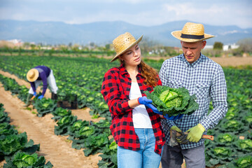 Wall Mural - Couple of workers man and woman standing on plantation and discussing work process at farm on sunny day