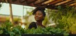 © NOWO - Portrait of a beautiful woman in an urban garden. A female student is learning and working, taking care of vegetable plants and seedlings. Banner with copy space.