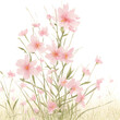 Beautiful bouquet of pink flowers on white background. Watercolor.