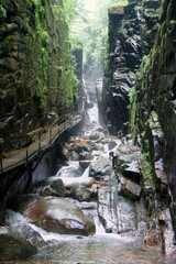 Canvas Print - Flume Gorge, White Mountains, New Hampshire, United States