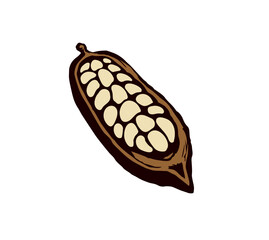 Sticker - Cocoa Fruits. Vector drawing