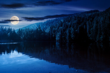 Wall Mural - composite night scene of lake among forest. beautiful landscape of carpathian national park synevyr 