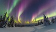 Winterliche Polarlichter: Magisches Schauspiel in lila und grünem Nachthimmel