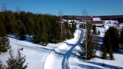 Wall Mural - Sunny day in winter forest. Clip. Aerial view of a long road on snow covered ground among green trees.