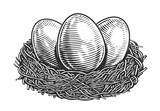 Fototapeta Panele - Chicken Eggs in nest. Organic farm products. Hand drawn sketch vintage vector illustration