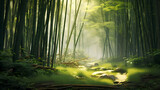 Fototapeta Sypialnia - Tranquil bamboo forest, tall bamboo stalks create a dense and peaceful atmosphere