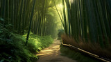 Fototapeta Dziecięca - Tranquil bamboo forest, tall bamboo stalks create a dense and peaceful atmosphere