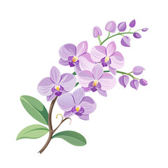 Wall Mural - flower exotic lilac orchid branch