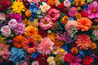 Floral multicolored background. The concept of spring, congratulations, holiday