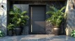 modern door of a modern house with potted plants