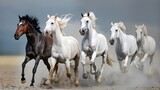 Fototapeta Konie - horses running