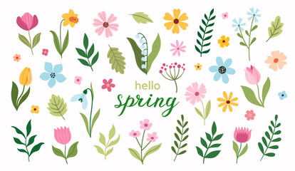 Poster - Big set of spring and summer flowers. Vector illustration