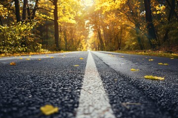 Poster - A vibrant autumn scene with a road blanketed by fallen leaves and trees with golden foliage in the bright fall light