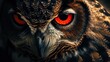 an owl with orange eyes