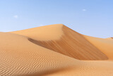 Fototapeta Las - Sand dunes in the Rub al Khali desert, Abu Dhabi, United Arab Emirates