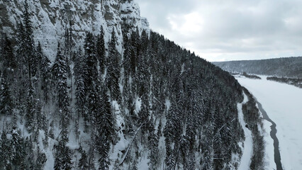 Wall Mural - Winter mountain cliff covered by snow, ice, and fur trees. Clip. Stunning frozen winter nature, aerial view.