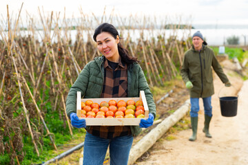 Wall Mural - Positive Asian woman gardener holding wooden box full of tomatoes in vegetable garden. Man carrying bucket in background..