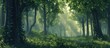 This image showcases a dense forest filled with an abundance of tall, green trees that dominate the landscape. The forest appears vibrant and full of life, with a canopy of leaves creating a lush