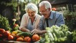 Senior couple joyfully picking fresh vegetables from their thriving garden, illustrating the satisfaction of homegrown produce.	