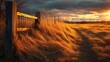 Golden grass by farm gate at sunset generative ai