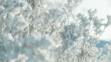 Poster - White Winter Branches under the sparkling fluffy snow Hoarfrost on the branches and plants Snowdrift : Generative AI