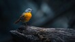 Beautiful bird Phoenicurus auroreus daurian redstart standing on a log : Generative AI