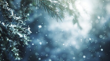 Aufkleber - Christmas winter snow background with fir branches macro with soft focus and snowfall in blue tones with beautiful bokeh in sunny day copy space : Generative AI