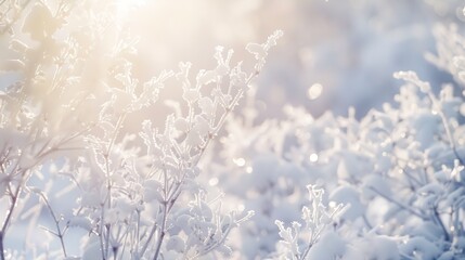 Poster - White Winter Branches under the sparkling fluffy snow Hoarfrost on the branches and plants Snowdrift : Generative AI