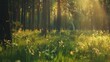Forest on a sunny summer evening Green grass trees and flowers in the sunset light Forest glade in the sunlight Light and shadow : Generative AI