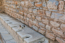 A Cat Resting On A Ledge At An Ancient Restroom Ruin With Stone Walls, In Ephesus, Turkiye
