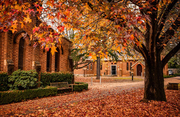 Wall Mural - The view of the garden in the St Jude's Bowral Anglican church in Bowral in the autumn