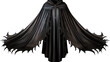 king black robe transparent.png
