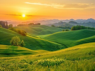 Wall Mural - sunset over the meadow: a breathtaking landscape bathed in the warm glow of the setting sun. nestled
