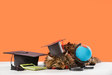 Cute cat with graduation hats, globe and calculator on table against orange background. End of school year