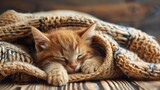Fototapeta Perspektywa 3d - Cute little ginger kitten is sleeping in soft blanket on wooden floor