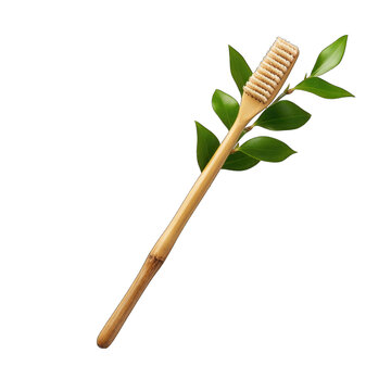 bamboo toothbr png
