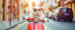 Hip Bunny in Red Sunglasses Riding a Scooter in the City