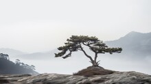 A Lone Pine Tree Rocky Outcropping Foggy Day With Mountains In The Background.