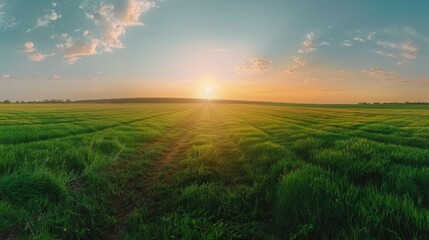 Aufkleber - Serene sunset over a lush green field, perfect for nature backgrounds or inspirational quotes