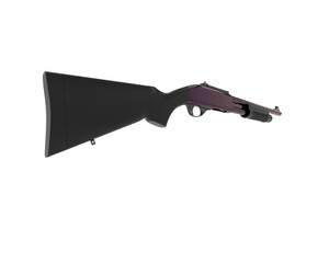 Canvas Print - Shotgun isolated on background. 3d rendering - illustration