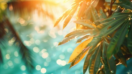 Canvas Print - Sunlight filtering through tropical palm tree leaves. Ideal for travel and nature concepts