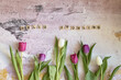 © Maria Zimmermann - Hallo Frühling, Frühlingsanfang, Tulpen