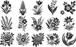 collection of mix different flowers, floristic shapes decorations