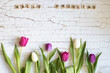 Hallo Frühling, Frühlingsanfang, Tulpen
